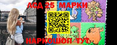 прущие крисы Моздок