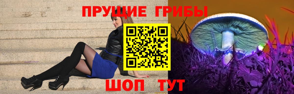 Псилоцибиновые грибы Усолье-Сибирское