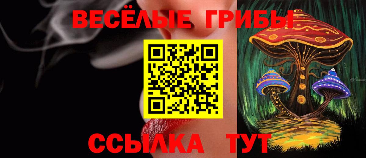 Галлюциногенные грибы мухоморы Усолье-Сибирское