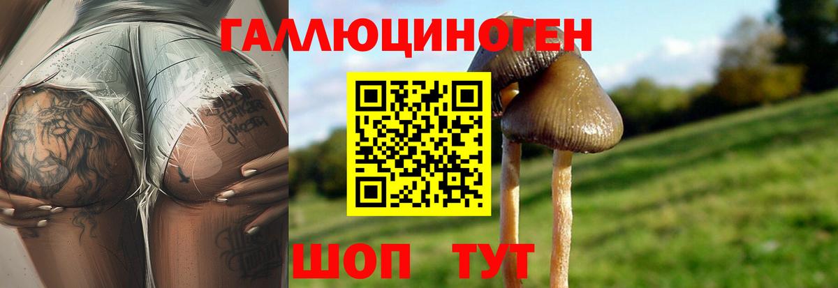 Галлюциногенные грибы мухоморы  купить  цена  Усолье-Сибирское  Вход с VPN 